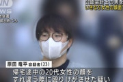 【池袋】23歳公認会計士、通りすがりの女性に飛び蹴りで逮捕…釈放されるも別の女性の顔をいきなり殴っていたと判明して逮捕