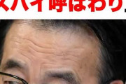 反対する奴がそうなんだよな　〜　【時事】日本政府、スパイ防止法の検討着手　監視強化・情報統制に懸念