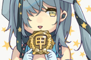 【艦これ】お前らにとって甲勲章とは