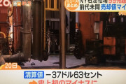 【悲報】産油国「あかんこのままやと死んでまう！！！」