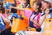 一番ファンの女の子が可愛い球団