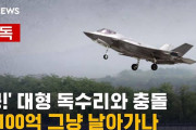 ブラックボックスを開ける口実ニダ！　〜　【Money1】 韓国「バードストライクのF-35A」修理代が高額で廃棄を決定