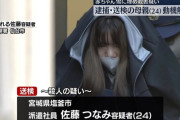 馬鹿女(24)「やっば…親に黙ってガキ産んじゃったけどどーしよ…とりま雪ん中に埋めるか…」
