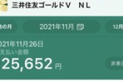 【悲報】ワイこどおじ、手取り20万円なのにクレカ請求が高すぎて1人暮らしに絶望ｗｗｗ