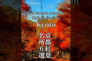 京都の紅葉名所6選を紹介する参考動画　瑠璃光院や清水寺など秋の景観に注目