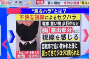 【悲報】例の『見るハラ』、遂にTVで特集される。女さん「視線が気になって仕事ができない。クビにしてほしい」