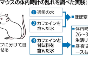 【魔剤警報】甘いカフェイン飲料　昼夜逆転し生活リズムがぶっ壊れるリスクがある事が判明