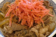 日本の飯って安いけど美味くないよな