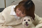 【画像】アイドルさん、愛犬と共にパンチラｗｗｗｗｗ