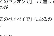 【悲報】ヤフオクドームさん、来年からペイペイドームになってしまう