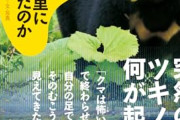 【悲報】クマ、柴犬を咥えて逃走する…