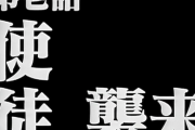 俺「十一時の方向に敵影確認！」 俺「識別パターン青！親戚です！」