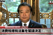 ( ´_ゝ`) 消費税増税した民主党さん「コロナ禍でも消費税減税に反対」
