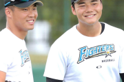 年間300試合観戦の野球ライターがパ順位徹底予想！日ハム4位 王柏融・清宮をキーマンに