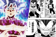 【ドラゴンボール】ウィス＞ビルス＞ブラックフリーザ＞ガス＞グラノラ＞悟飯ビースト＞ブロリー＞身勝手悟空＝我儘ベジータ