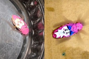 【動画】ゴキブリ怖い→ちいかわ化→怖くないゴキブリの完成。