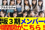 【櫻坂46】櫻坂3期のドロドロすぎる相関図がこちらwww