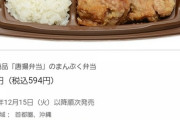 【朗報】セブンの唐揚げ弁当、またしてもワイらの期待を超えてきてしまう