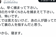 元女優の若林志穂さん「Nさん、早く捕まって」「正直怖い」ｾｲｯ！ｾｲｯ！ｾｲｨｯ‼ﾖｰｿﾛｰ‼
