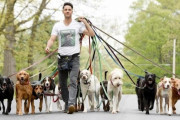 【速報】NYで犬の散歩代行業が大人気、年収1300万円もｗｗｗｗｗｗｗ