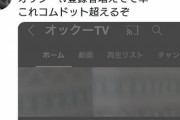 【朗報】キッズYouTuber、一夜にして登録者数15人→2万人になり始まるｗｗｗｗ