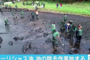 【モーリシャス】商船三井が座礁し流出させた大量の重油、撤去作業始まるも海岸一帯が埋め尽くされ作業は難航