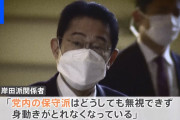 【告白】岸田首相「私自身もNYでマイノリティーだった」←マジかよ…?