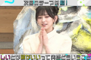 【乃木坂46】清楚可憐お嬢様