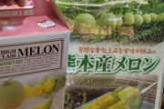 【悲報】ぼくさん、ゲーセンの景品のメロンで産地偽装にあってしまう