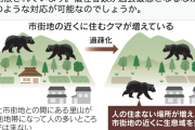 「呆れ果てる」「9条関係ない」日経新聞　自衛隊のクマへの武器使用巡るX投稿に指摘続出…立憲・枝野氏もツッコミ