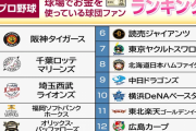 12球団『野球観戦時にお金を使っている球団ファン』ランキング！阪神1位！カープはまさかの12位