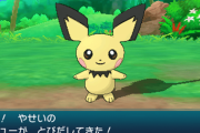 倒した野生のポケモンってどうなってんだ
