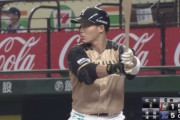 【疑問】日本ハム王柏融は契約延長されるのか？