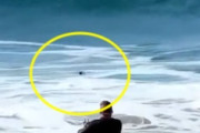【動画】海に墜落しそうなドローンを必死に救おうとする操縦者（ノ∇`）