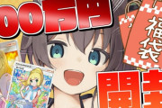 【悲報】Vtuberさん、100万円のカードゲーム福袋を開封してしまう