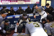 【悲報】阪神木浪が試合前の円陣で 「今日はみんな大好きなハマスタです」と声出し→試合で１イニング２エラー