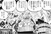 【ワンピース】不死鳥マルコ、おでんを殺したカイドウにガチギレｗｗｗｗｗｗｗｗｗｗｗｗｗ