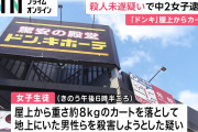 「遊び半分でやった」ドンキの屋上から20m下にカートを投げ落とす→歩いていた男性のそばに落ちる　女子中学生(14)を殺人未遂で逮捕