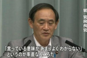 【悲報】菅官房長官「アベノマスクは暑そうなので使っていない」