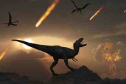 白亜紀末の大量絶滅に新説、火山噴火は生命回復を促していた