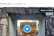 【ポケモンGO】ポケGOの「AR機能で面白動画」作ってる人達！