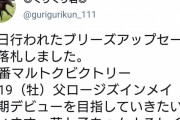 【人気馬主】ぐりぐり君が今年も藤田菜七子の為に2700万円の馬を購入していた！
