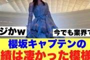 【衝撃】櫻坂46キャプテンの功績が偉大すぎていたことが判明した模様…