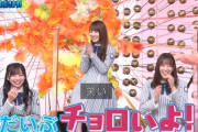 【日向坂46】初っ端からキュン！w かまいたちとの共演も再びw【華丸大吉&千鳥のテッパンいただきます!】
