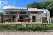 月1で通ってた動物園に数ヶ月ぶりに顔を出すと…私の顔を見た猛獣の『この行動』に感激wwww