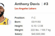 八村塁の体重が102kg、アンソニー・デイビスの体重が100kg   ←これ本当？