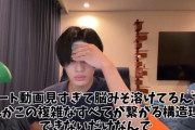 考察系YouTuber「ワンピースつまらないって言ってる馬鹿は殺していいと思います」