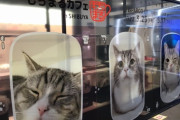 【画像】猫系YouTuberのコラボカフェ、ガチで大盛況になってしまうｗｗｗｗ