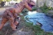 【動画】恐竜の着ぐるみを着てワニに近づいたらどうなるか実験してみた結果ｗｗｗｗｗｗｗｗ