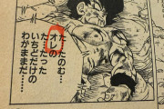 【漫画】宇多田ヒカル「ドラゴンボール読んでたら疑問に思うところがあったんだけど」